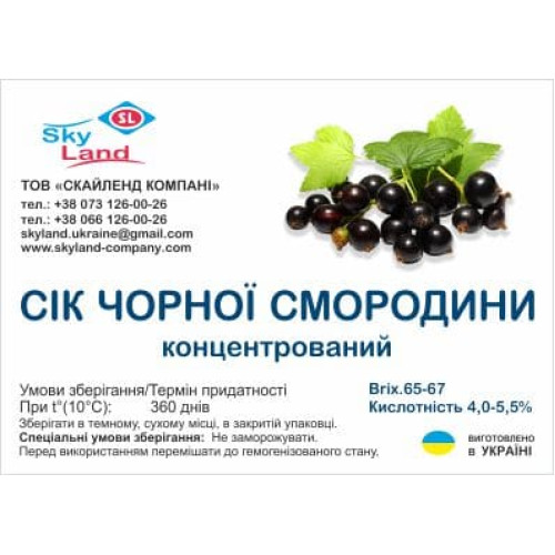 Концентрированный сок черной смородины, бочка (200л/250кг) Концентрированный сок черной смородины, бочка (200л/250кг)